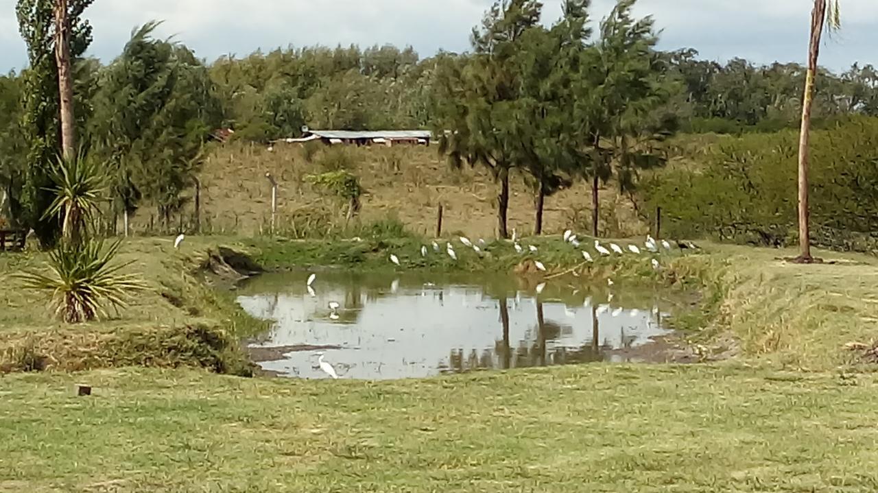 GualeguaychúDreams Rest别墅 外观 照片